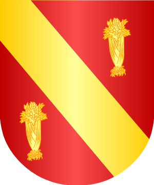 ESCUDO ALEATORIO