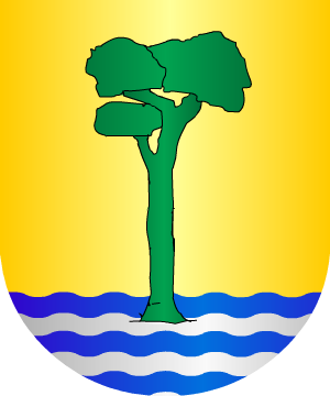 ESCUDO SIGUIENTE