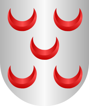 ESCUDO PRECEDENTE