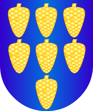 ESCUDO PRECEDENTE