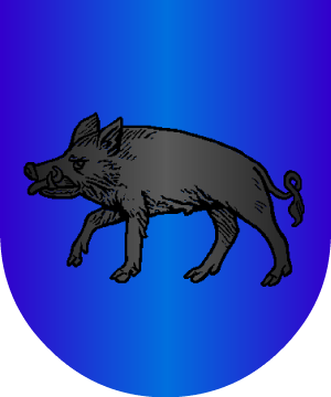 ESCUDO ALEATORIO