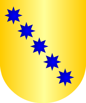 ESCUDO ALEATORIO