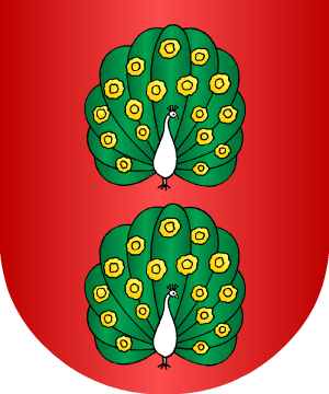 ESCUDO SIGUIENTE