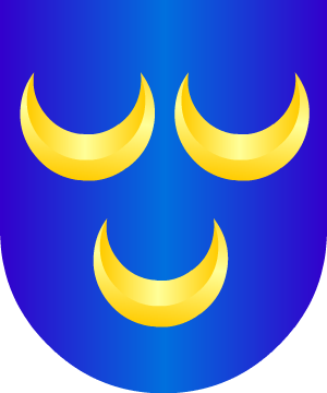 ESCUDO ALEATORIO