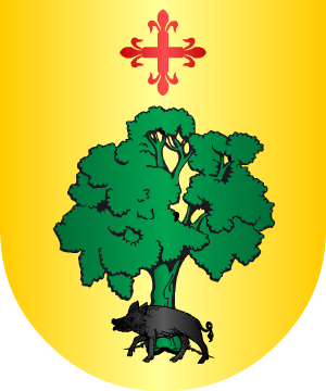 ESCUDO SIGUIENTE