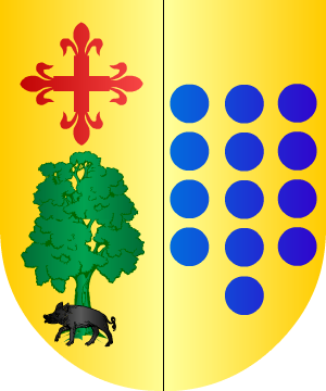 ESCUDO SIGUIENTE