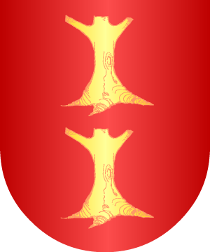 ESCUDO ALEATORIO