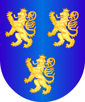 ESCUDO ALEATORIO