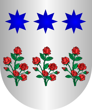ESCUDO ALEATORIO