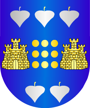 ESCUDO SIGUIENTE