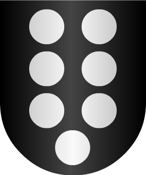 ESCUDO SIGUIENTE