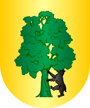 ESCUDO ALEATORIO