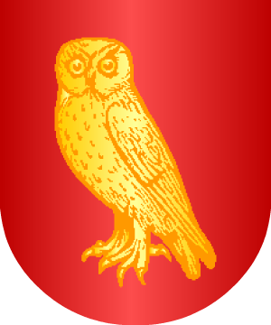ESCUDO ALEATORIO