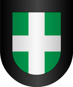 ESCUDO PRECEDENTE