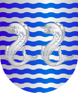 ESCUDO ALEATORIO