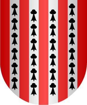 ESCUDO SIGUIENTE