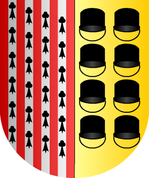 ESCUDO ALEATORIO