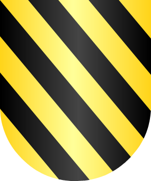 ESCUDO SIGUIENTE