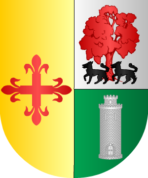 ESCUDO SIGUIENTE