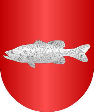 ESCUDO SIGUIENTE