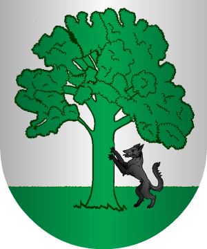 ESCUDO ALEATORIO