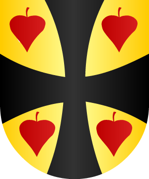 ESCUDO ALEATORIO