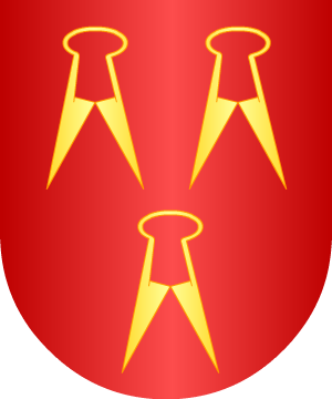 ESCUDO SIGUIENTE