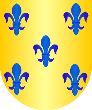 ESCUDO SIGUIENTE