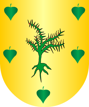 ESCUDO PRECEDENTE