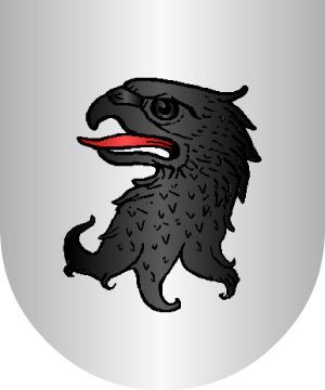 ESCUDO ALEATORIO