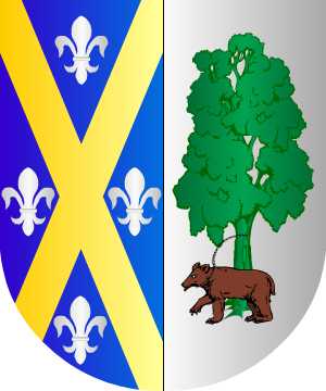 ESCUDO SIGUIENTE