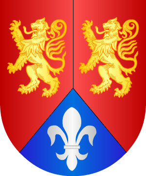 ESCUDO ALEATORIO