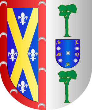 ESCUDO PRECEDENTE