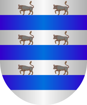 ESCUDO ALEATORIO