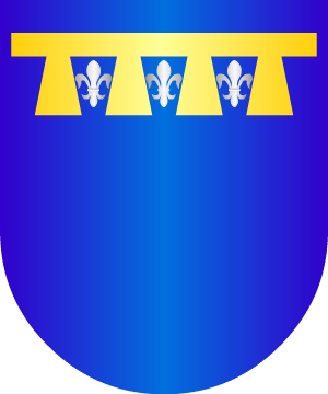 ESCUDO SIGUIENTE