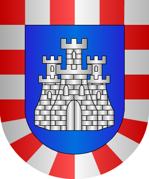 ESCUDO ALEATORIO