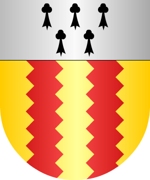 ESCUDO ALEATORIO