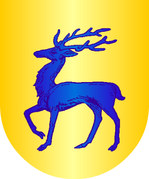 ESCUDO ALEATORIO