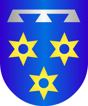 ESCUDO SIGUIENTE