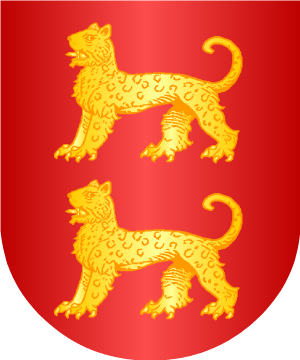 ESCUDO ALEATORIO