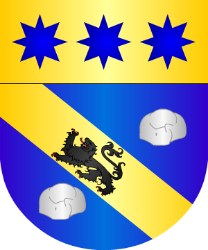 ESCUDO PRECEDENTE