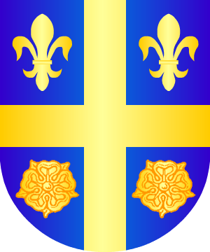 ESCUDO ALEATORIO