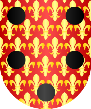ESCUDO SIGUIENTE