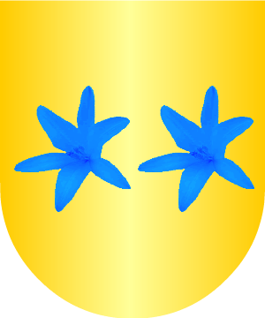ESCUDO ALEATORIO