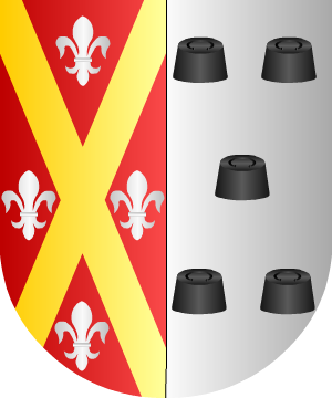 ESCUDO ALEATORIO