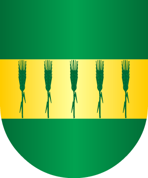 ESCUDO ALEATORIO