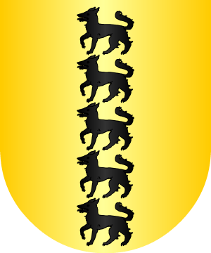 ESCUDO SIGUIENTE