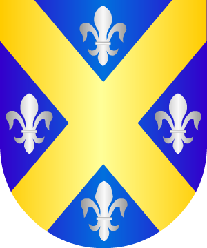 ESCUDO SIGUIENTE