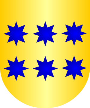 ESCUDO SIGUIENTE