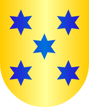 ESCUDO SIGUIENTE